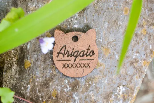 Plaquitas de madera con identificación - Imagen 3