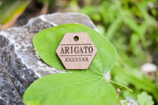 Plaquitas de madera con identificación - Imagen 4