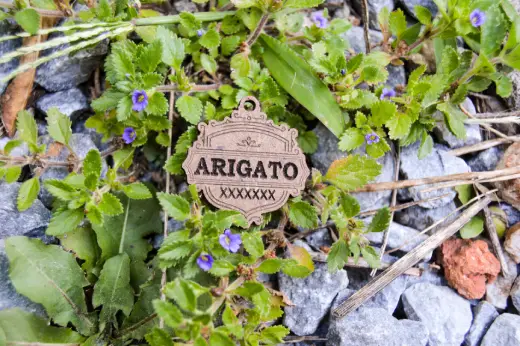 Plaquitas de madera con identificación - Imagen 5