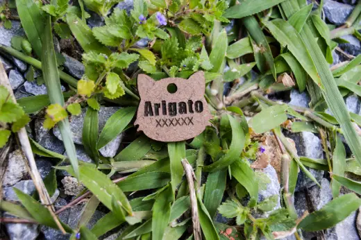 Plaquitas de madera con identificación - Imagen 6
