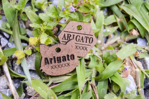 Plaquitas de madera con identificación - Imagen 8