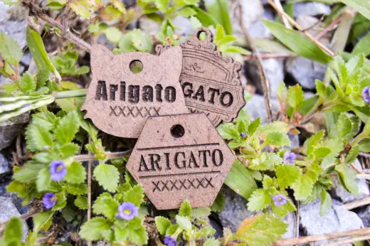 Plaquitas de madera con identificación - Imagen 9