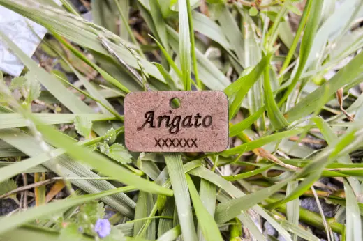 Plaquitas de madera con identificación - Imagen 10