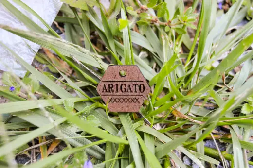 Plaquitas de madera con identificación - Imagen 11