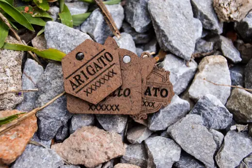 Plaquitas de madera con identificación - Imagen 12