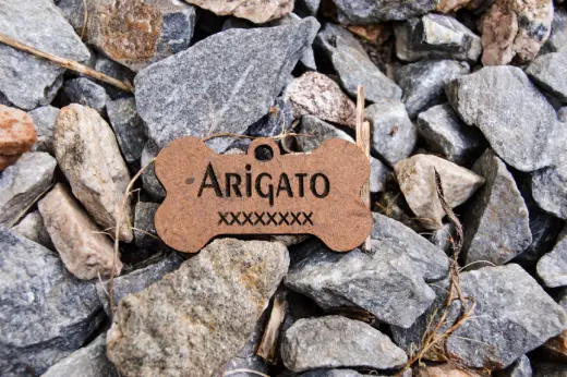 Plaquitas de madera con identificación - Imagen 13