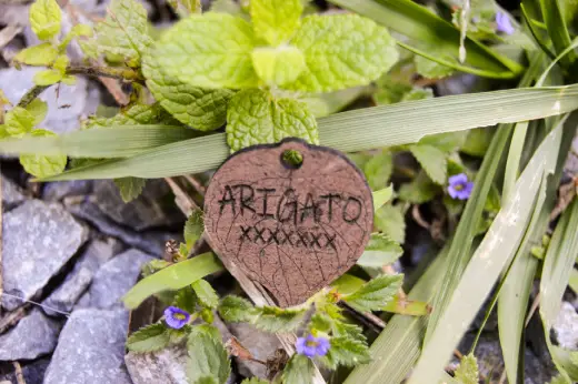 Plaquitas de madera con identificación - Imagen 14