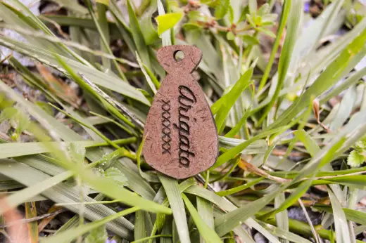 Plaquitas de madera con identificación - Imagen 16