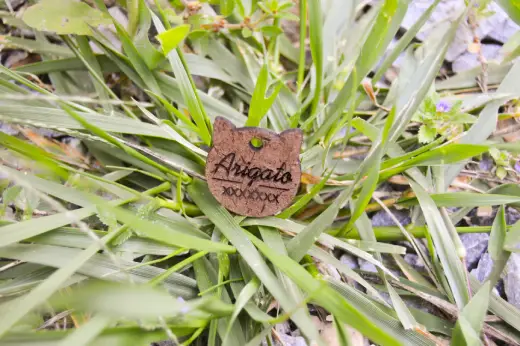 Plaquitas de madera con identificación - Imagen 17