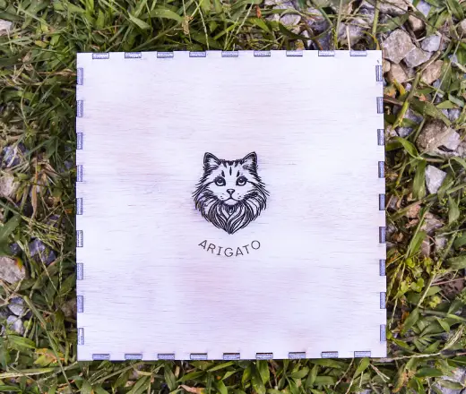 Juguete en Madera con Pelotitas - Imagen 6