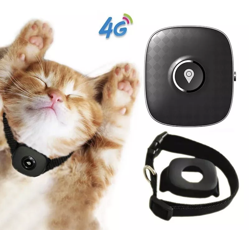 GPS para gatos con sonido 4G