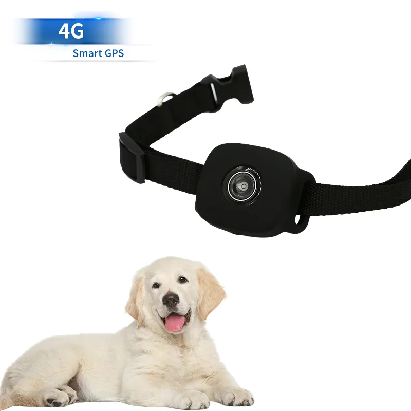 GPS para gatos con sonido 4G - Imagen 10