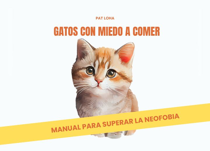 Neofobia alimentaria, gatos con miedo a comer Neofobia alimentaria, gatos con miedo a comer, superar el miedo a comer de los gatos