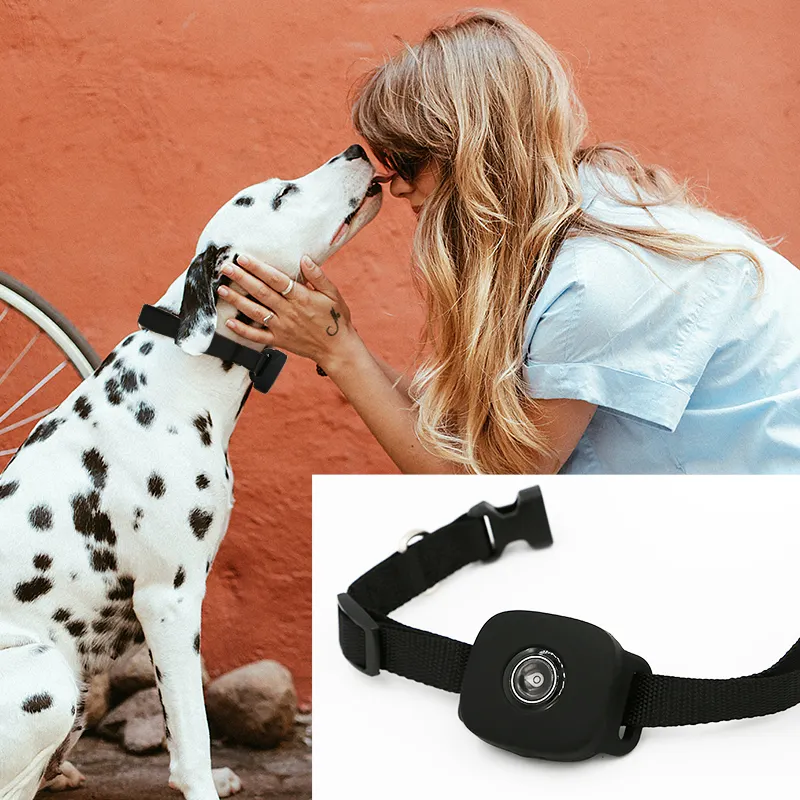 GPS para gatos con sonido 4G - Imagen 5