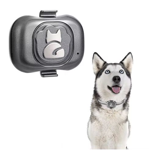GPS rastreador para gatos, rastreador de gatos, gatos perdidos, cómo encontrar un gato perdido, GPS para gatos.