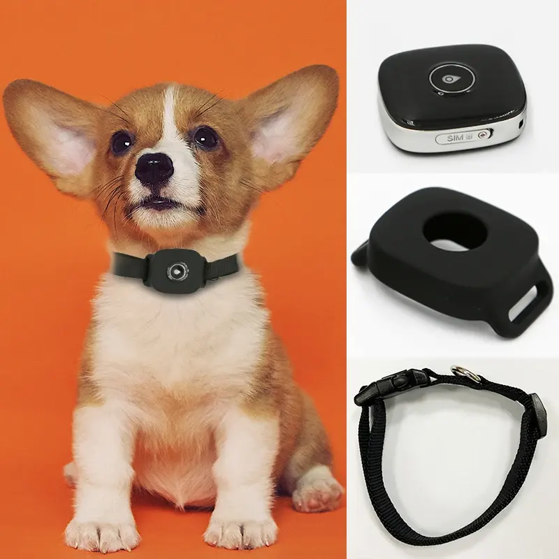GPS para gatos con sonido 4G - Imagen 14