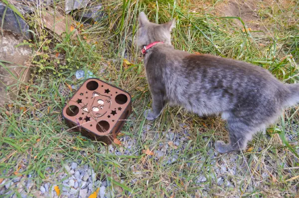 Juguete Interactivo Para Gatos Caja De Rompecabezas Madera - Imagen 2