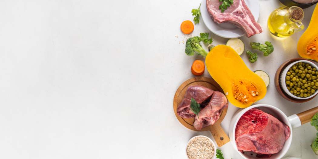 Alimentación natural para gatos, cómo alimentar a mi gato, la mejor comida para gatos