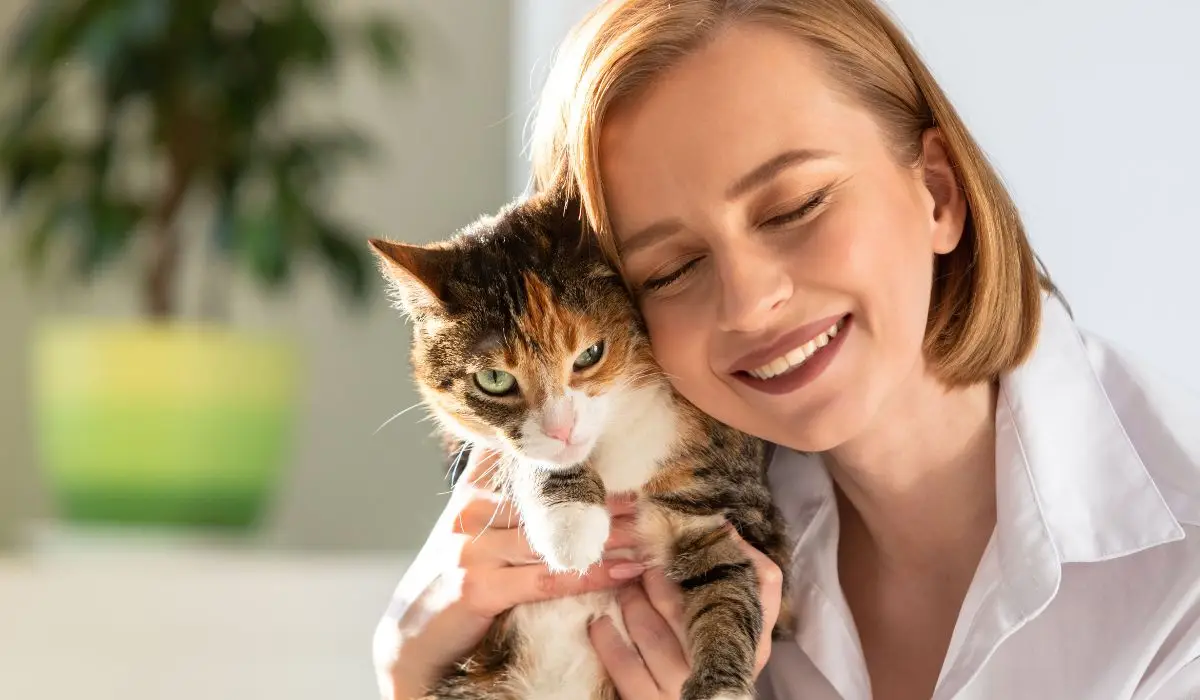 Los mejores productos y servicios para gatos y sus mamás, lo mejor para mi gato. Tienda para gatos