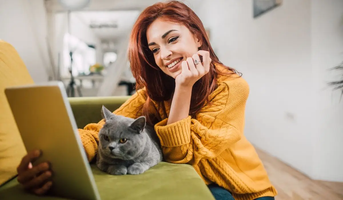 Los mejores productos y servicios para gatos y sus mamás, lo mejor para mi gato. Tienda para gatos