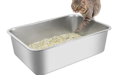 Bandejas Sanitarias para gatos: te revelamos la mejor opción