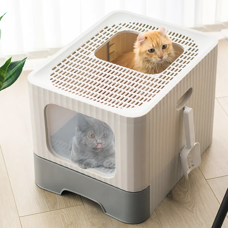 las mejores bandejas sanitarias, cómo elegir el arenero para mi gato