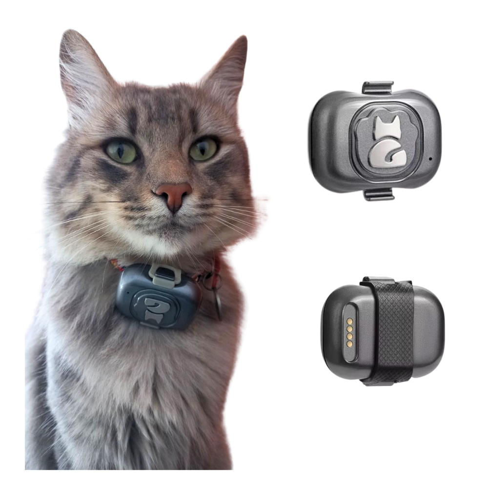 Gps para gatos