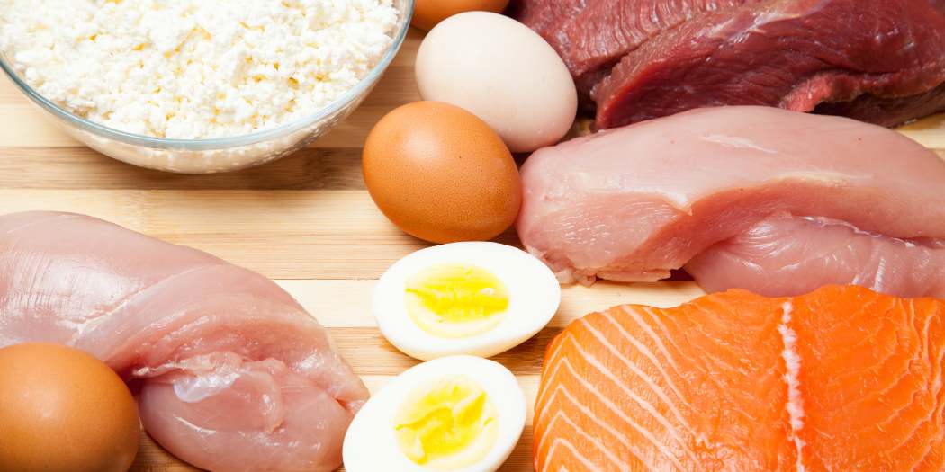 Alimentación natural para gatos, cómo alimentar a mi gato, la mejor comida para gatos