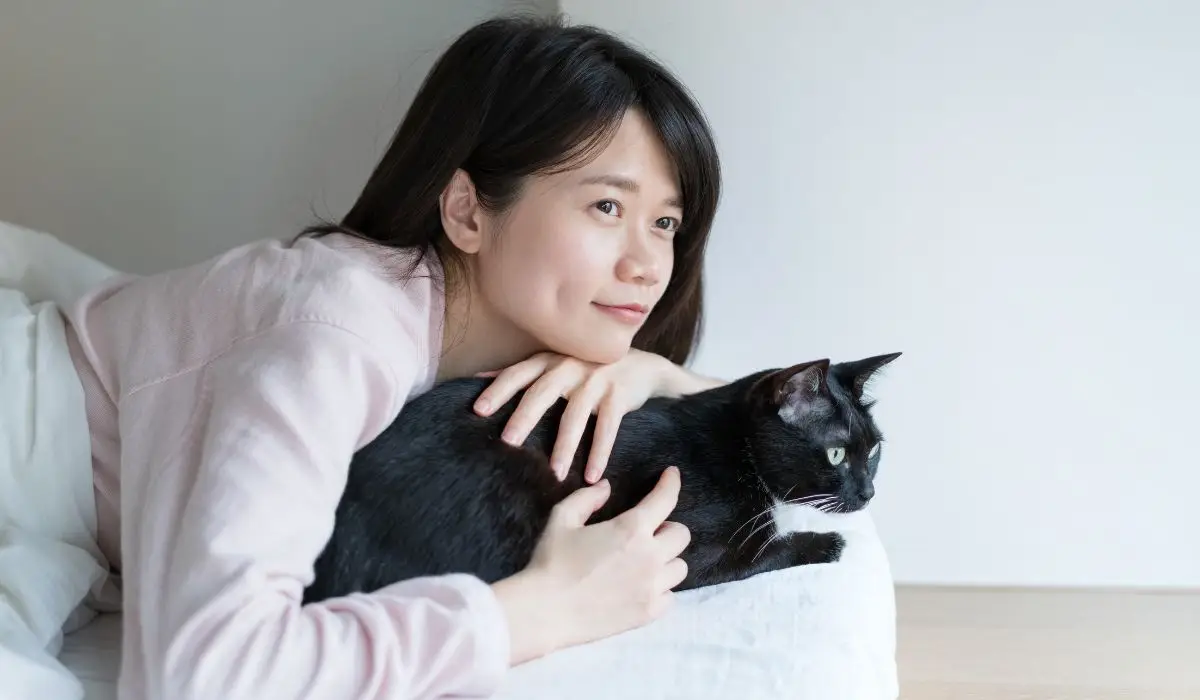 Los mejores productos y servicios para gatos y sus mamás, lo mejor para mi gato. Tienda para gatos
