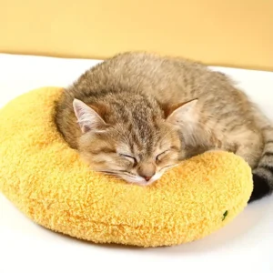 Almohada para Gatos, los mejores juguetes para gatos, tienda de gatos uruguay, boutique para gatos