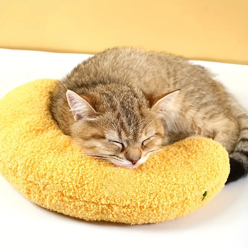 Almohada para Gatos, los mejores juguetes para gatos, tienda de gatos uruguay, boutique para gatos